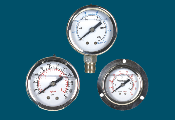 耐(nai)震壓力(li)表